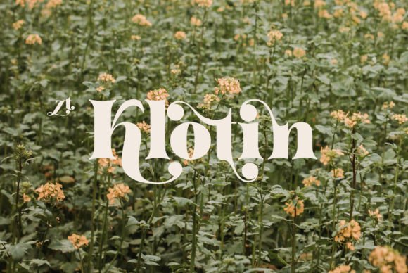 Klotin: A Serif Font That Anchors Brand Moments