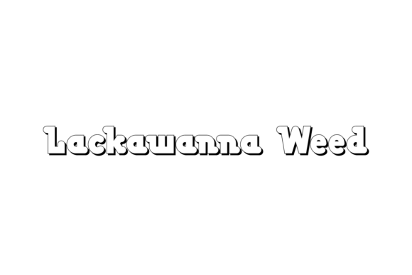 Lackawanna Weed: A Bold Display Font for Small Business Branding