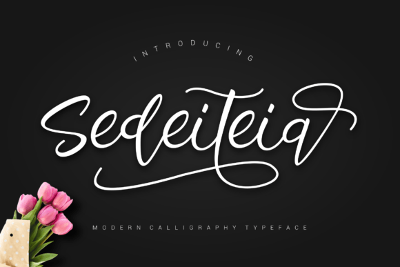 Sedeiteia: A Bold Handwritten Font That Cuts Through the Feed